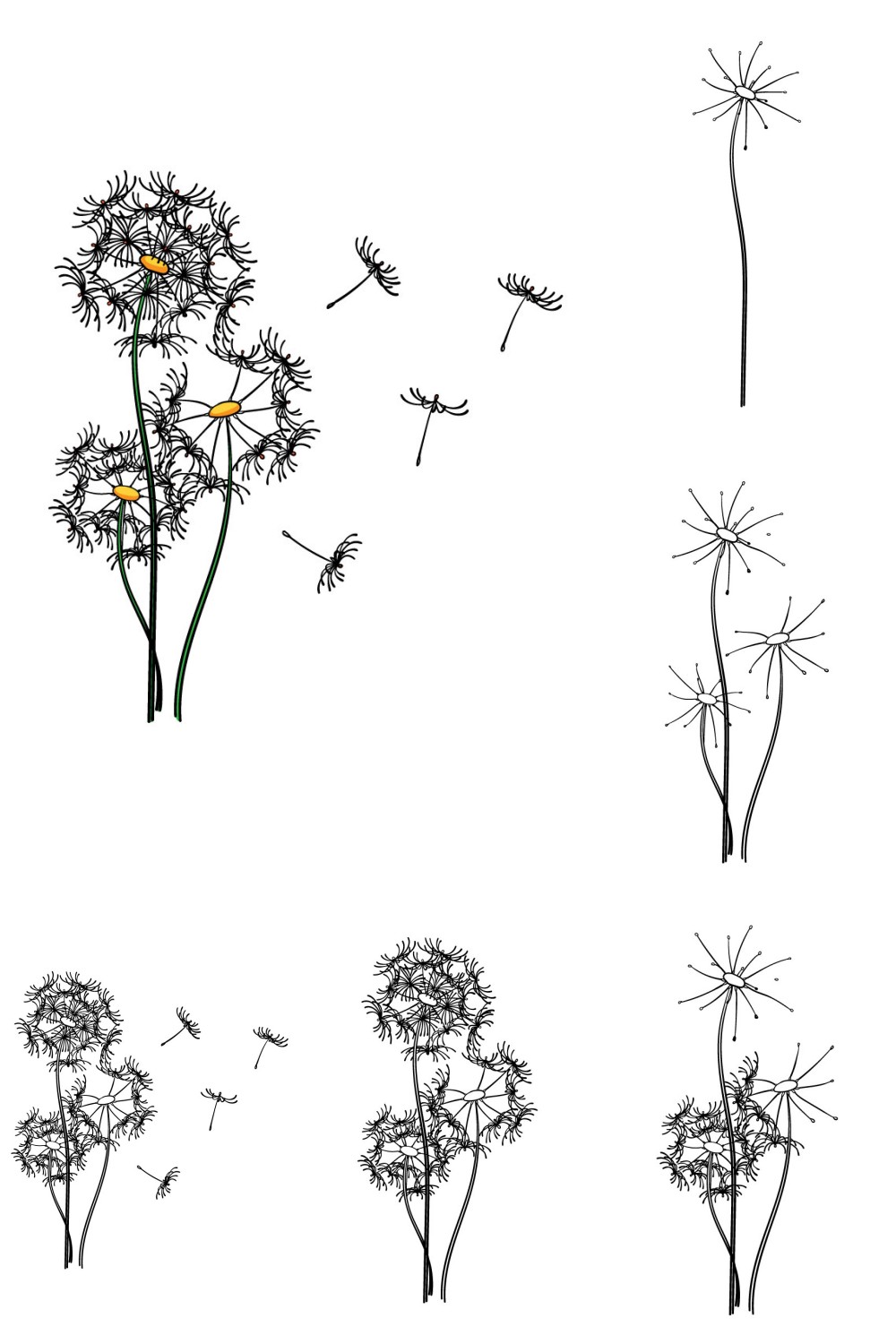 How to Draw A Dandelion