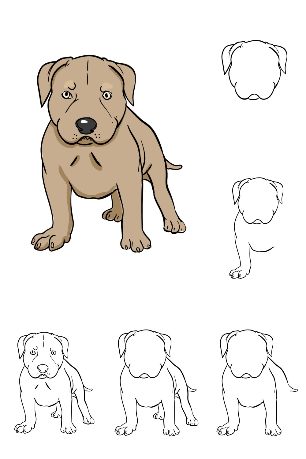 How to Draw A Pitbull