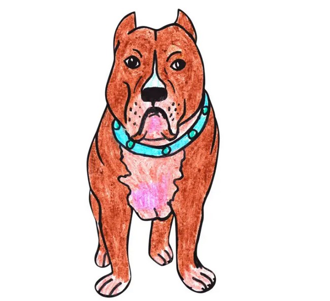 How to Draw a Cartoon Pitbull Dog